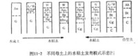 水稻土