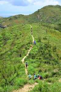 黃楊山風景區