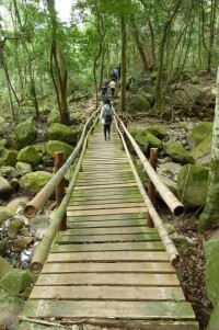 靈石山國家森林公園