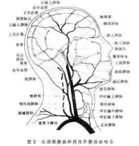 神經系統體征