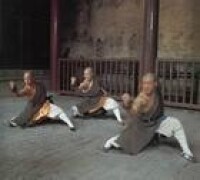 劉家拳