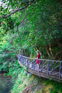 浙江龍灣潭國家森林公園