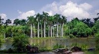西雙版納熱帶植物園