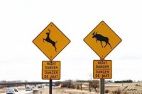 駝鹿保護標誌