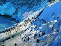 地球上多少的淡水儲藏在南極