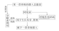 同化量