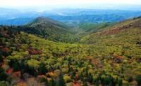 龍崗山國家森林公園