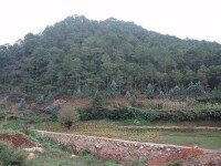 寨腳村[雲南省楚雄市祿豐縣土官鎮寨腳村]