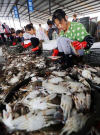 海頭鎮[江蘇省連雲港市贛榆區海頭鎮]