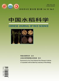《中國水稻科學》中英文封面圖