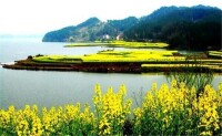 漢中油菜花—紅寺湖看到的美麗圖片