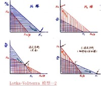 價格競爭的古諾模型