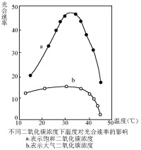 濃度