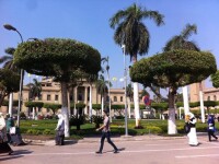 開羅大學
