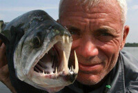 傑瑞米·瓦德與食人魚