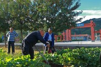 玉皇廟村[北京市延慶縣張山營鎮下轄村]