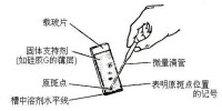 紙層析法