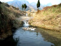 西坪村村景