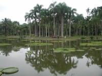 中國科學院西雙版納熱帶植物園
