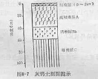 灰鈣土