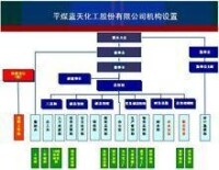 平煤藍天化工股份有限公司機構設置