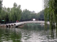 青年湖公園近景