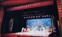 鄒平大型現代呂劇《梨花雨》進京演出