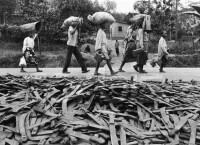 盧安達大屠殺結束后政府收繳的砍刀