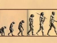 進化論