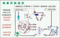 生物武器防護