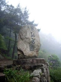 華頂雲霧茶