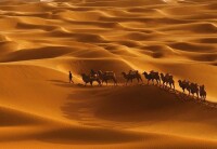 庫木塔格沙漠
