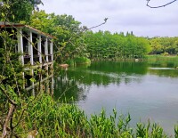 水源涵養林