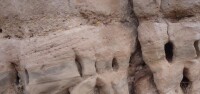 鑲嵌有鵝卵石的億萬年前的石頭風化成這樣了