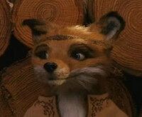 Mrs. Fox