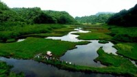 代河村[四川省雅安市雨城區宴場鎮代河村]