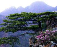 吉林拉法山國家森林公園