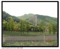 翠雲山[江西撫州市金溪縣景點]