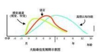 腦科學與兒童科學教育