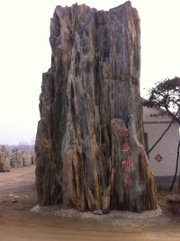 中大型泰山石