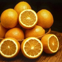 麻陽冰糖橙
