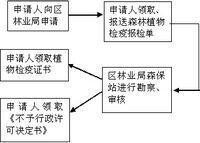 動植物檢疫證書申請流程