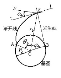 漸開線齒廓