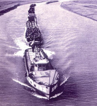 滏陽河20世紀50年代的情景