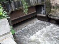 荔枝灣瀑布下的截污閘泄洪，排放上游污水