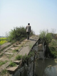 吳江七都廣福橋