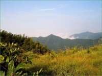 白雲山森林公園