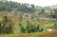 大寨自然村[雲南省鳳慶縣大寺鄉平河村委會下轄村]