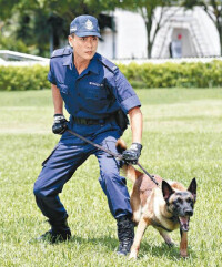 警犬巴打