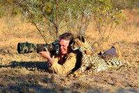 非洲獵豹劇照